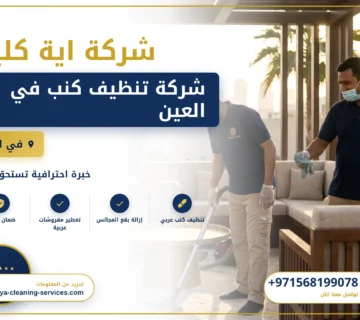 صورة شركة تنظيف كنب في العين