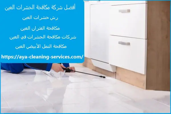 أفضل شركة مكافحة الحشرات العين