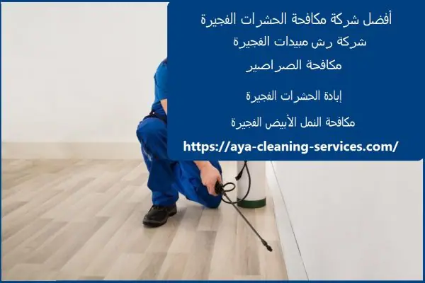 أفضل شركة مكافحة الحشرات الفجيرة