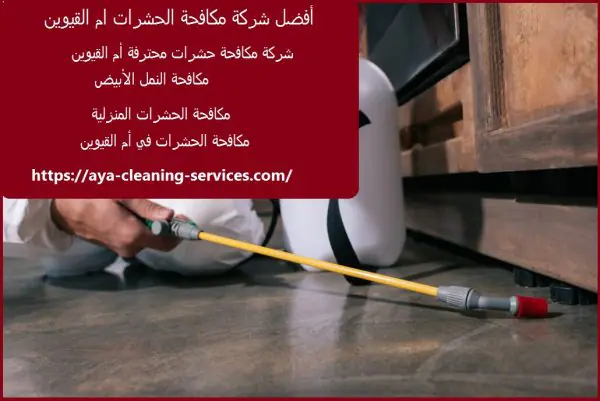 أفضل شركة مكافحة الحشرات ام القيوين