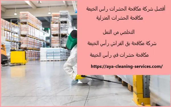 أفضل شركة مكافحة الحشرات راس الخيمة