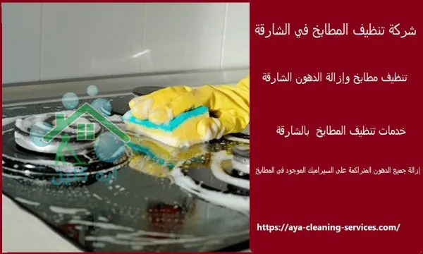 شركة تنظيف المطابخ في الشارقة