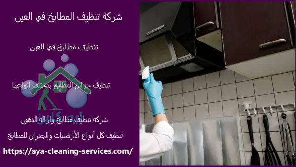 شركة تنظيف المطابخ في العين