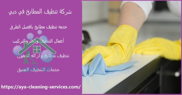 شركة تنظيف المطابخ في دبي