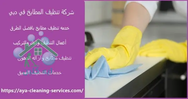 شركة تنظيف المطابخ في دبي