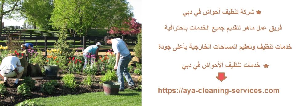 شركة تنظيف أحواش في دبي