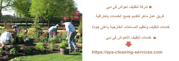 شركة تنظيف أحواش في دبي