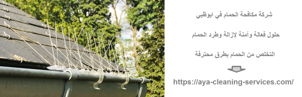 شركة مكافحة الحمام في ابوظبي