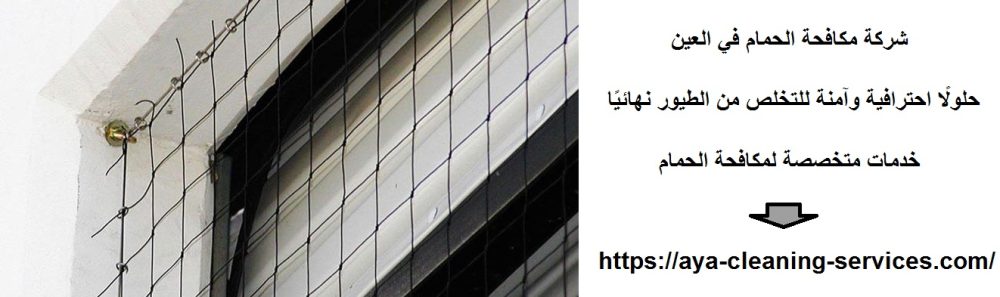 شركة مكافحة الحمام في العين