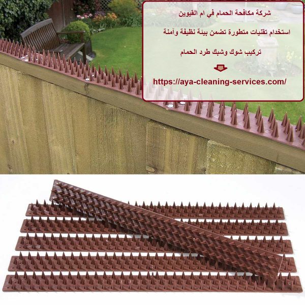 شركة مكافحة الحمام في ام القيوين