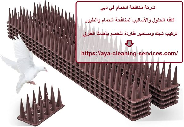 شركة مكافحة الحمام في دبي