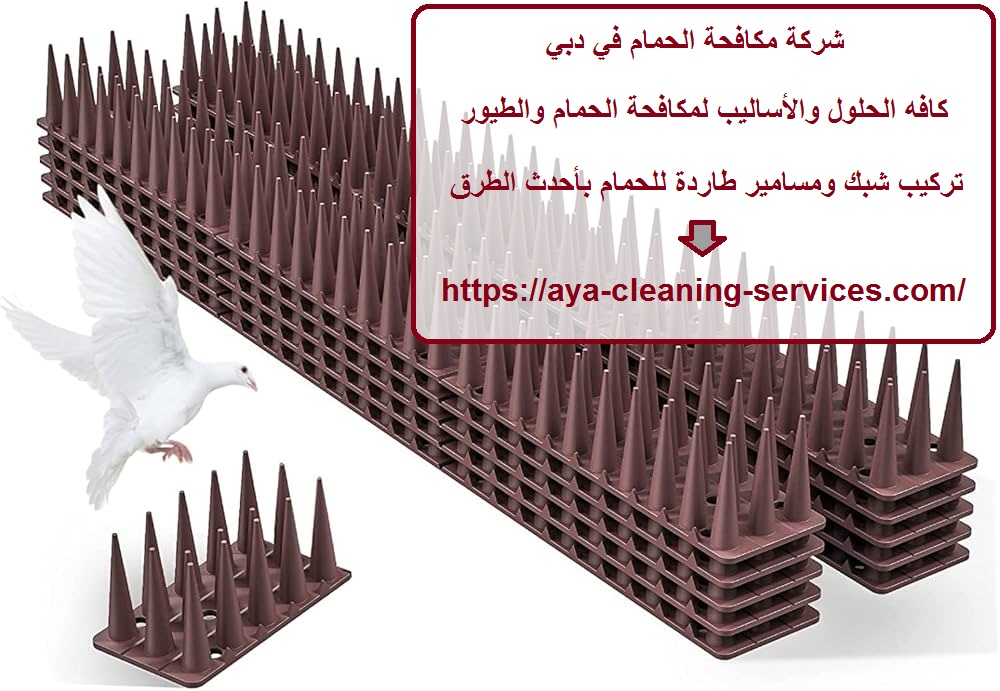 شركة مكافحة الحمام في دبي