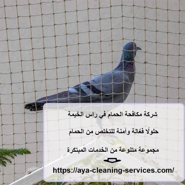 شركة مكافحة الحمام في راس الخيمة