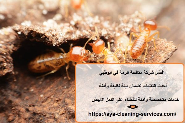 افضل شركة مكافحة الرمة في ابوظبي