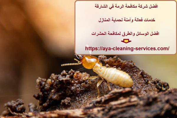 افضل شركة مكافحة الرمة في الشارقة