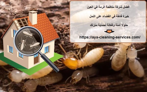 افضل شركة مكافحة الرمة في العين