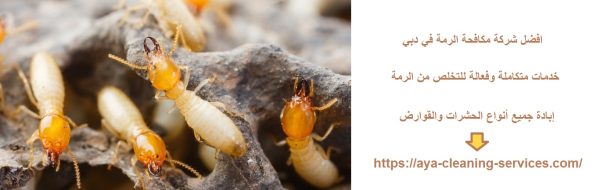 افضل شركة مكافحة الرمة في دبي