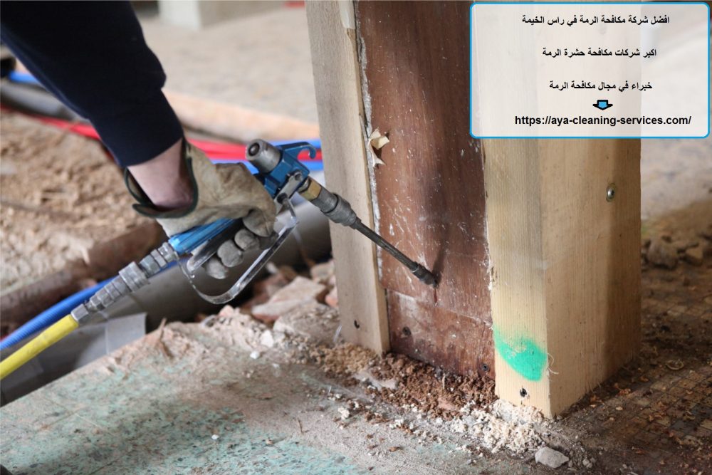 افضل شركة مكافحة الرمة في راس الخيمة